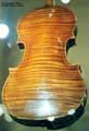 Cremonese Stradivarius