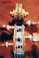 Stradivarius Violin Scroll