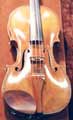 Greffuhle Stradivarius