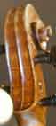 Stradivari Scroll
